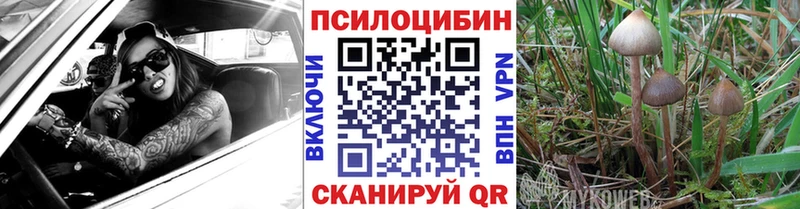 Галлюциногенные грибы мицелий  как найти наркотики  Новокубанск 