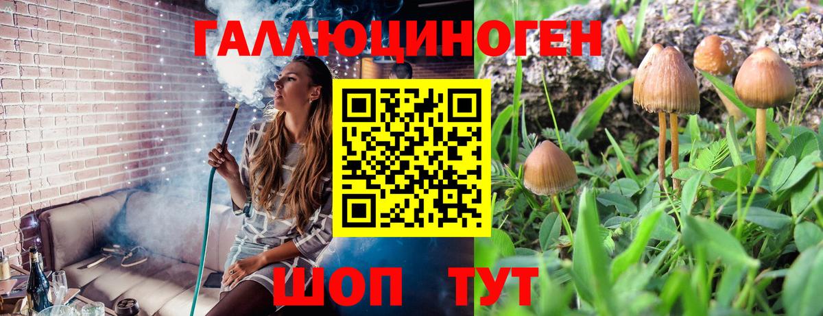Галлюциногенные грибы Magic Shrooms  Вход с VPN  Новокубанск 