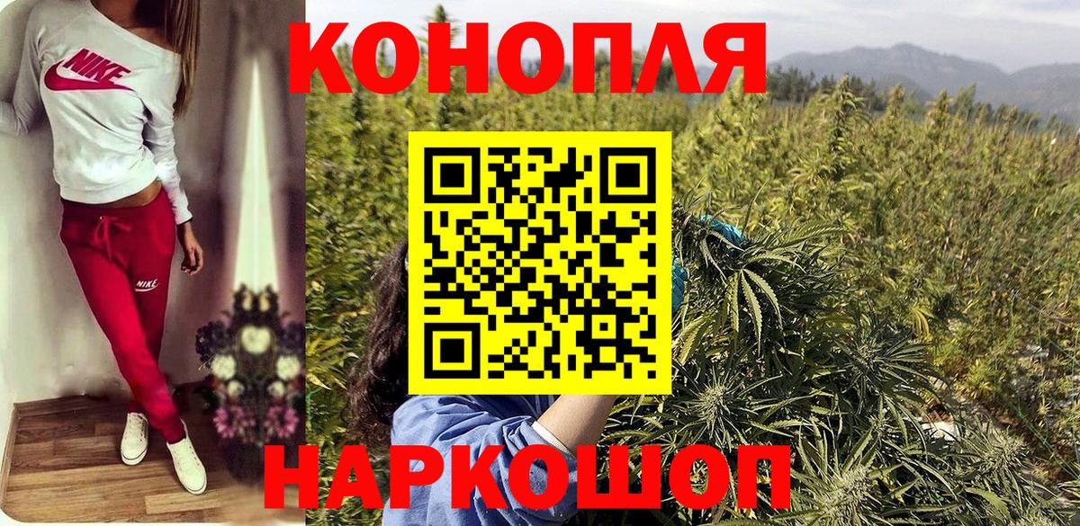 МАРИХУАНА индика Новокубанск